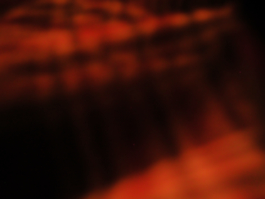 国产欧美另类久久久精品