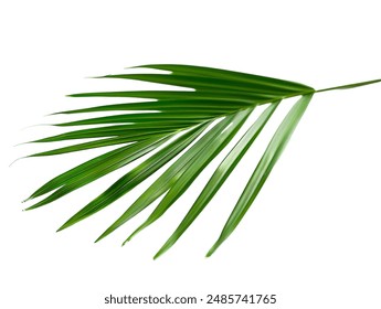 精品伊人久久久大香线蕉