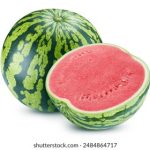 日本中文字幕在线视频一区 9lwi6tihal