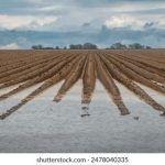 亚洲专区 AV 第一页 在线 b6eq9