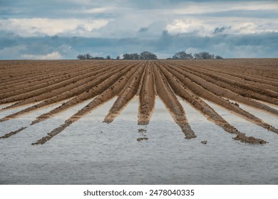 亚洲专区 AV 第一页 在线 亚洲专区 AV 第一页 在线