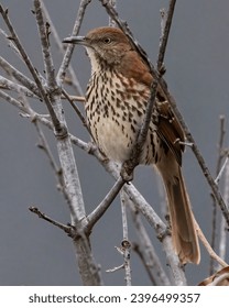 精品不卡高清视频在线观看