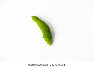 国产最新美女视频