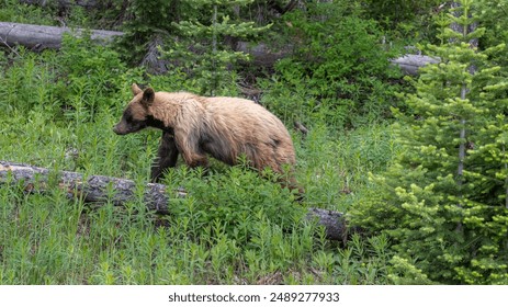 青春娱乐分类视频精品2动漫 青春娱乐分类视频精品2动漫