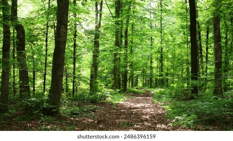 国产普通话精品久久