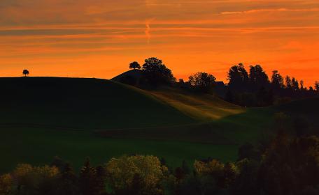 亚洲三级在线免费