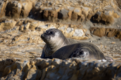 中文字字幕在线中文乱码网站