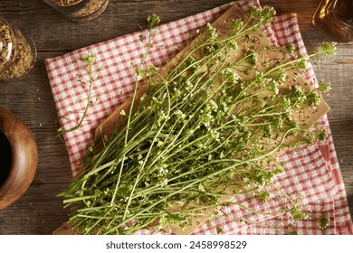 国产欧美亚洲精品a第一页