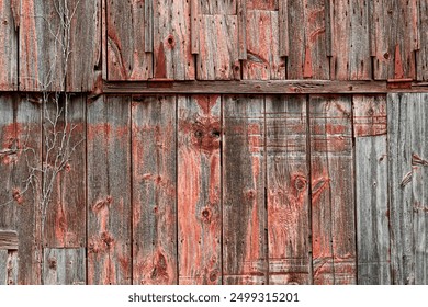 九尾狐校霸盯上我之后，我的校园生活彻底改变